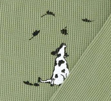 Babycow Clothing 03